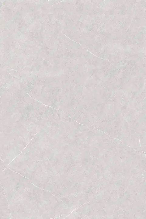 FORZA GRIS view 4